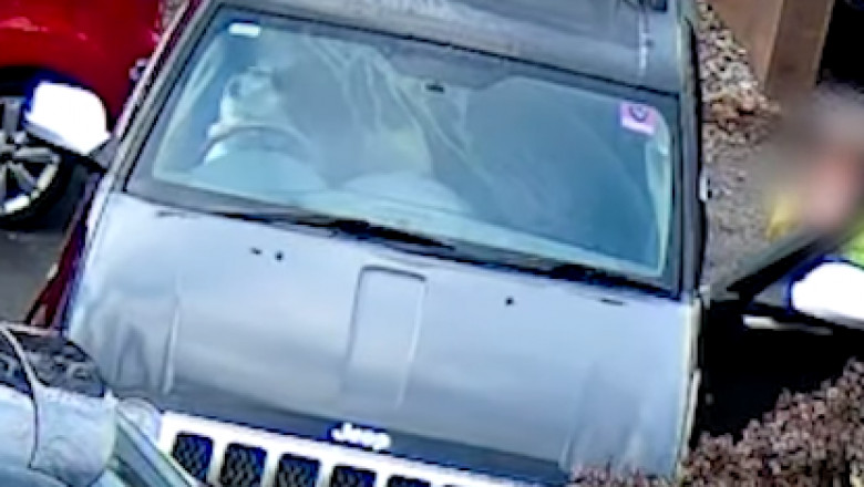 Photo of video | Câinele unei femei a provocat un accident, după ce a ajuns la volanul mașinii